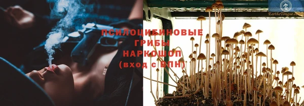 ГАЛЛЮЦИНОГЕННЫЕ ГРИБЫ Аркадак