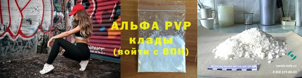 ГАЛЛЮЦИНОГЕННЫЕ ГРИБЫ Аркадак