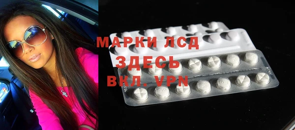 ГАЛЛЮЦИНОГЕННЫЕ ГРИБЫ Аркадак