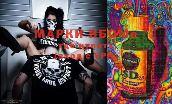 ГАЛЛЮЦИНОГЕННЫЕ ГРИБЫ Аркадак