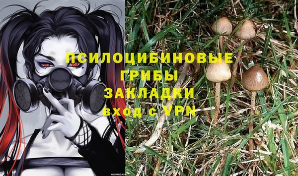 ГАЛЛЮЦИНОГЕННЫЕ ГРИБЫ Аркадак